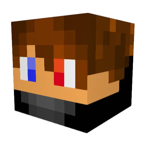 tolex123 Minecraft avatar head, 3D render