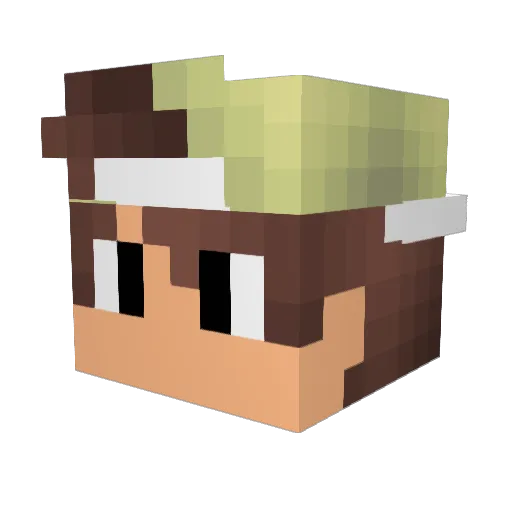 tolggit Minecraft avatar head, 3D render