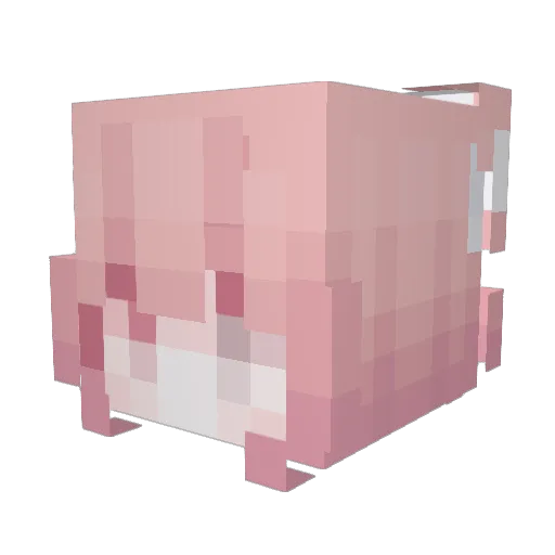 tolipu Minecraft avatar head, 3D render