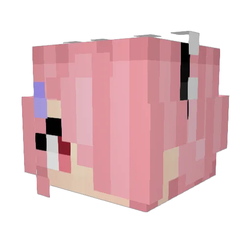 tom1352 Minecraft avatar head, 3D render