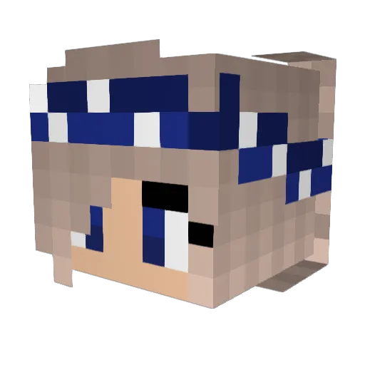 tom140605 Minecraft avatar head, 3D render