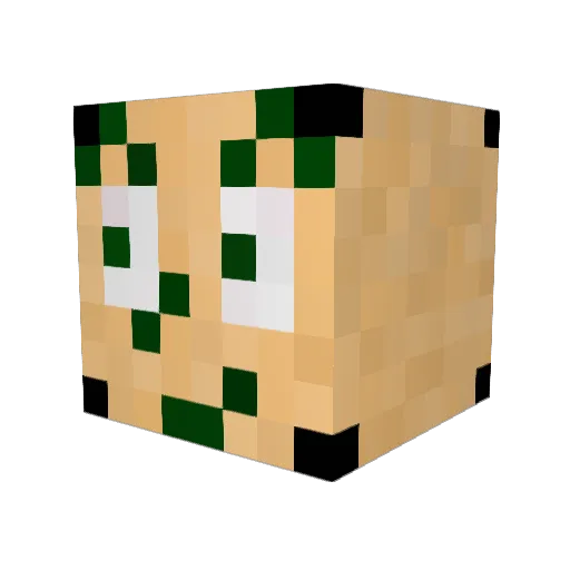 tom_tex Minecraft avatar head, 3D render