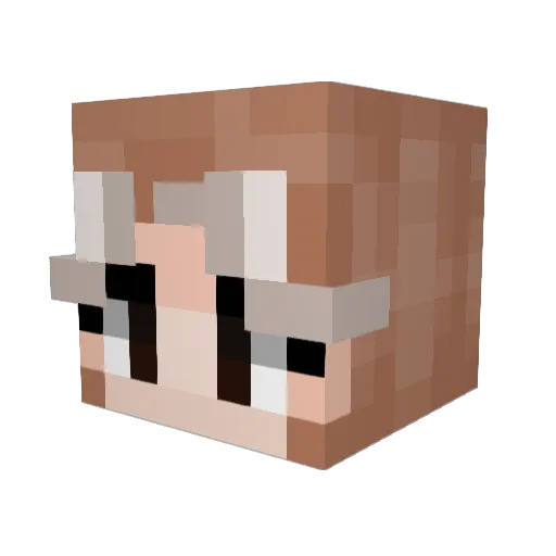 tom_the_fool Minecraft avatar head, 3D render