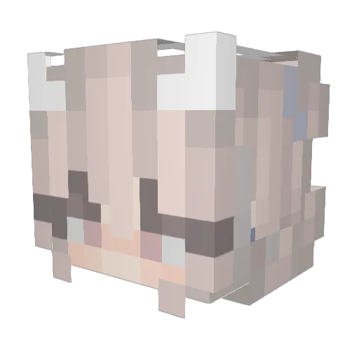 tomadoii Minecraft avatar head, 3D render