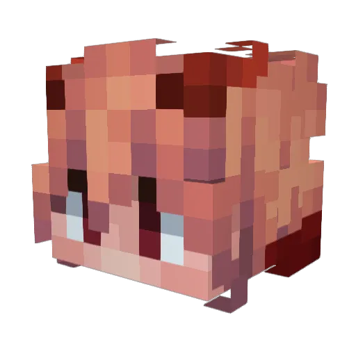 tomagon156 Minecraft avatar head, 3D render