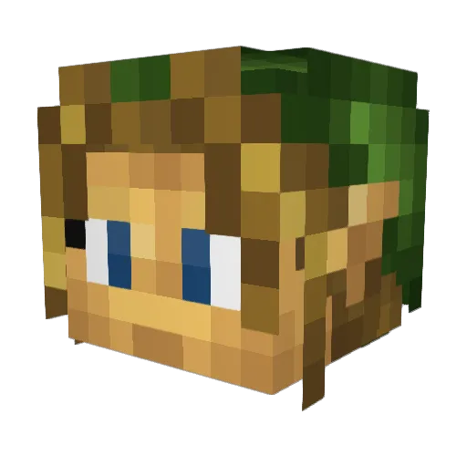 tomas0721xd Minecraft avatar head, 3D render