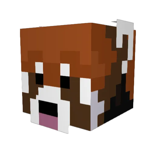tomas11403 Minecraft avatar head, 3D render