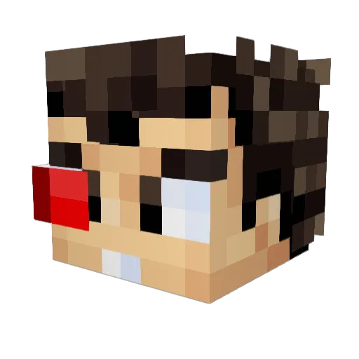 tomas312 Minecraft avatar head, 3D render