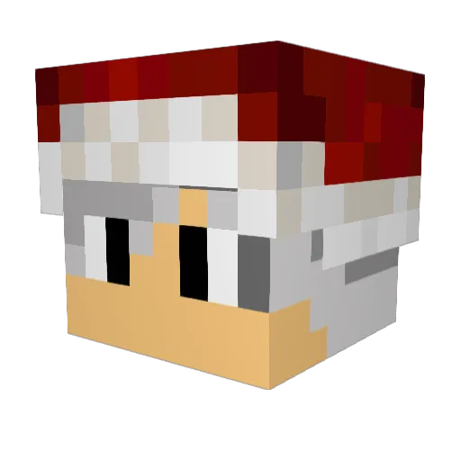 tomasfons8 Minecraft avatar head, 3D render