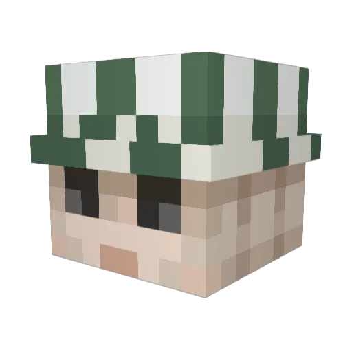 tomasi321r Minecraft avatar head, 3D render