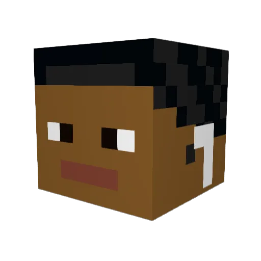 tomaskoF1 Minecraft avatar head, 3D render
