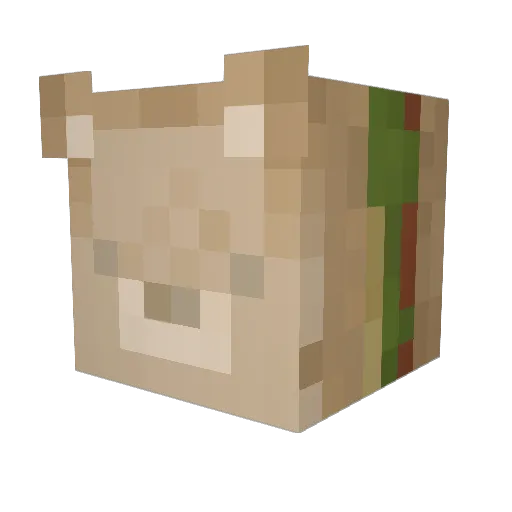 tomate_mija Minecraft avatar head, 3D render