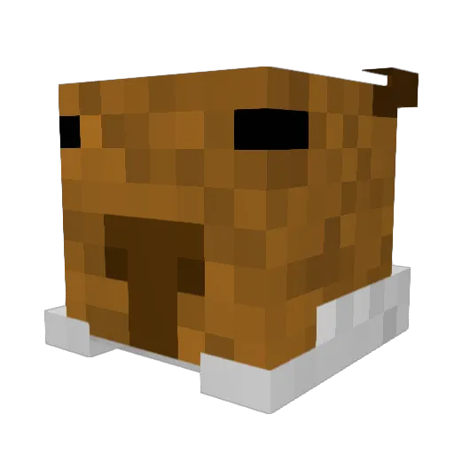 tomatenschoen Minecraft avatar head, 3D render