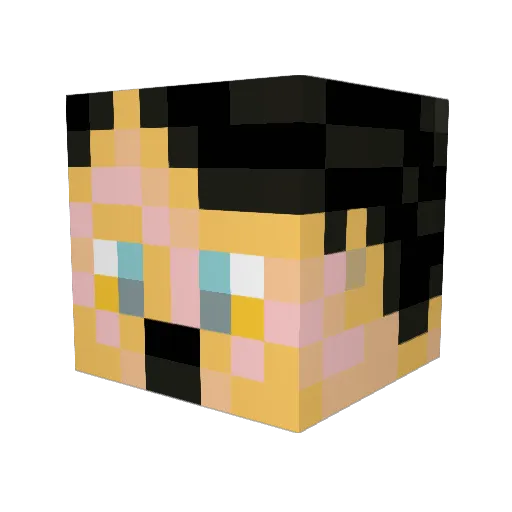 tomatle Minecraft avatar head, 3D render