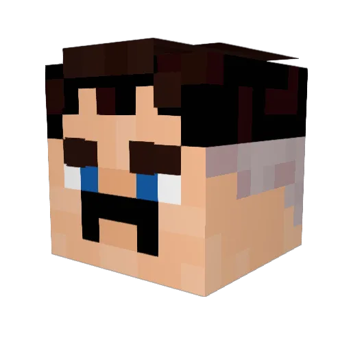 tomato2002 Minecraft avatar head, 3D render