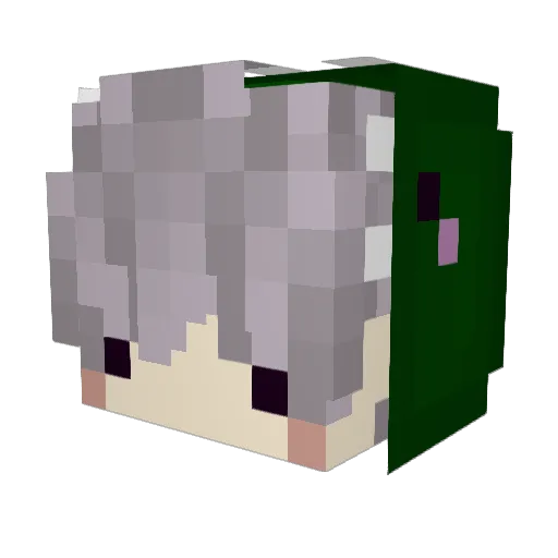 tomato824 Minecraft avatar head, 3D render
