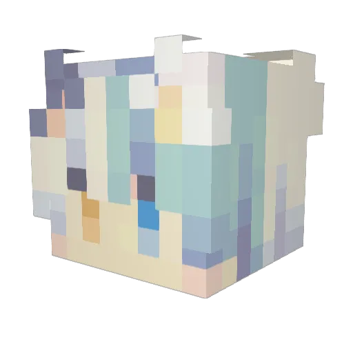 tomato8820 Minecraft avatar head, 3D render