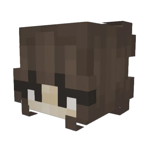 tomatoSIN Minecraft avatar head, 3D render