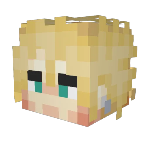 tomatoass Minecraft avatar head, 3D render
