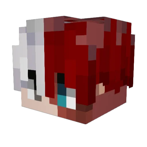 tomatocuk Minecraft avatar head, 3D render