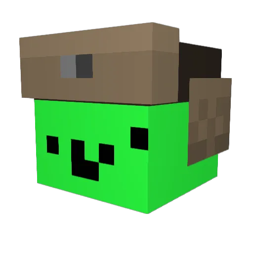 tomatopineapple Minecraft avatar head, 3D render