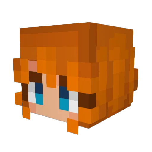 tomatosoup711 Minecraft avatar head, 3D render