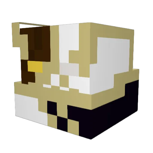 tomazekw Minecraft avatar head, 3D render