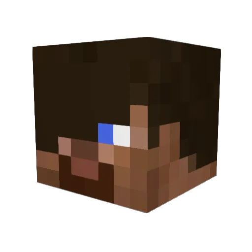 tombo1100 Minecraft avatar head, 3D render