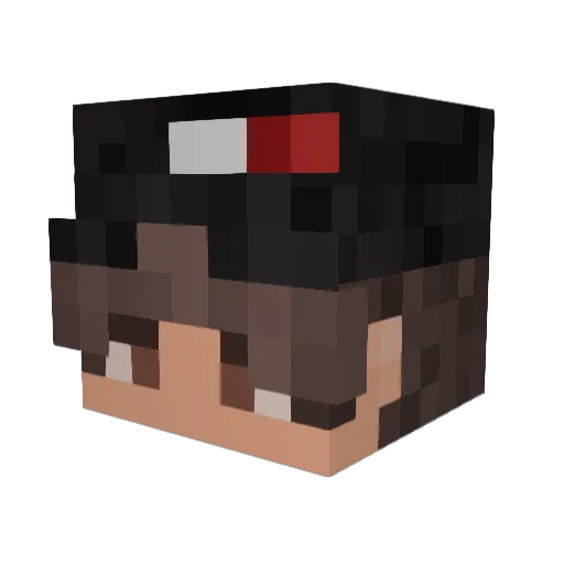 tombomwom Minecraft avatar head, 3D render