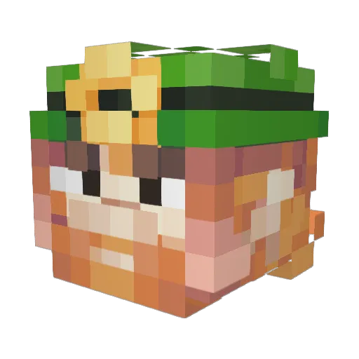tomcat975 Minecraft avatar head, 3D render