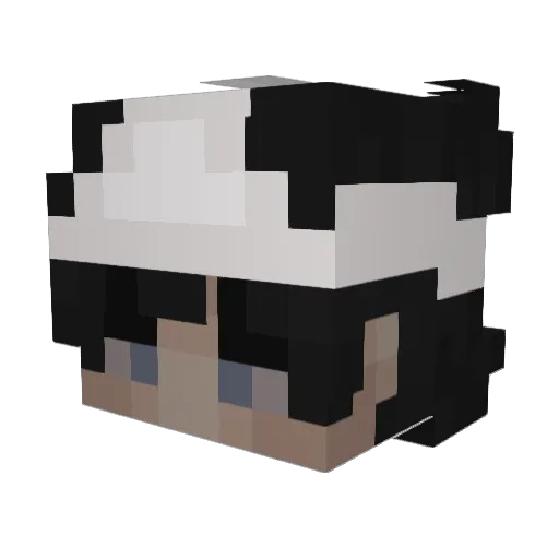 tomcio2019 Minecraft avatar head, 3D render