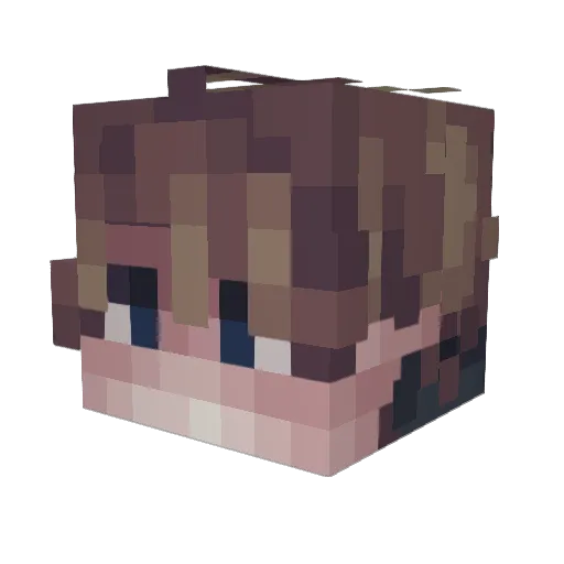 tomdagangsta Minecraft avatar head, 3D render