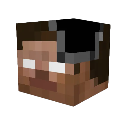 tomdog Minecraft avatar head, 3D render