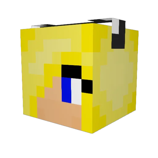 tomdomgo Minecraft avatar head, 3D render