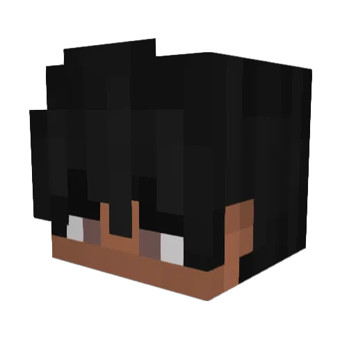 tome2015 Minecraft avatar head, 3D render