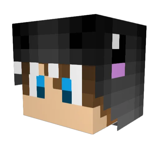 tomer10901 Minecraft avatar head, 3D render