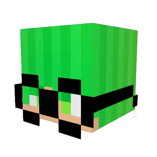 tomerkids Minecraft avatar head, 3D render