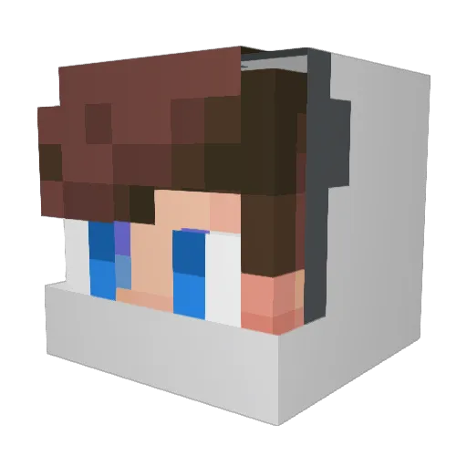 tomervvx Minecraft avatar head, 3D render