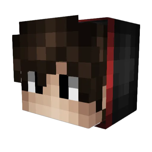 tomet2008 Minecraft avatar head, 3D render