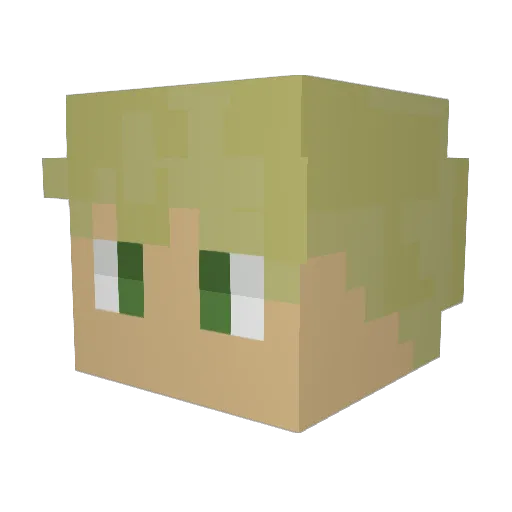 tomfyx Minecraft avatar head, 3D render