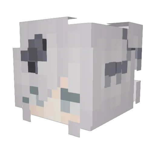 tomhelliwell Minecraft avatar head, 3D render
