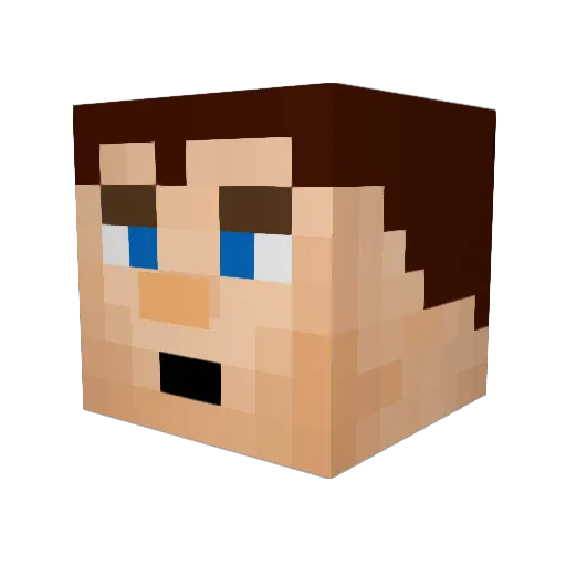 tomhertz116 Minecraft avatar head, 3D render