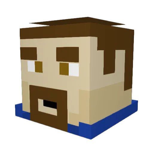tomi22Bridges Minecraft avatar head, 3D render