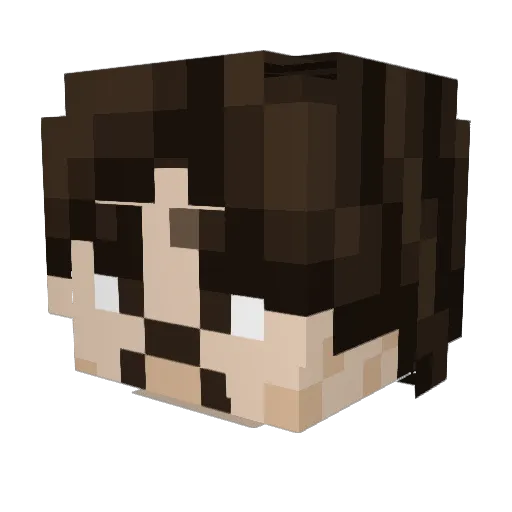 tomiclimber Minecraft avatar head, 3D render