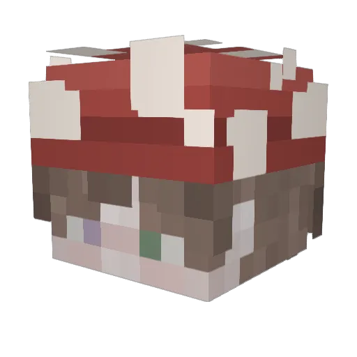 tomify Minecraft avatar head, 3D render