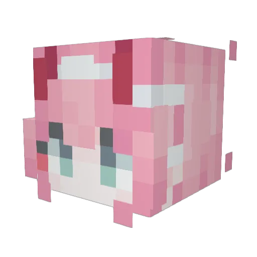 tomikyuu Minecraft avatar head, 3D render
