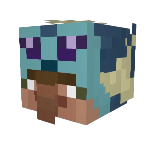 tomiloco05 Minecraft avatar head, 3D render