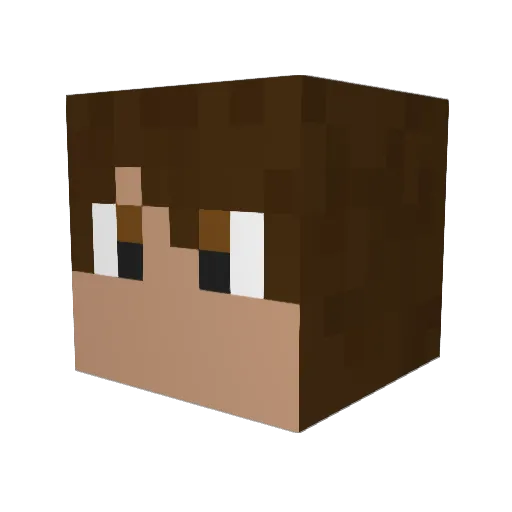 tomishandsome69 Minecraft avatar head, 3D render