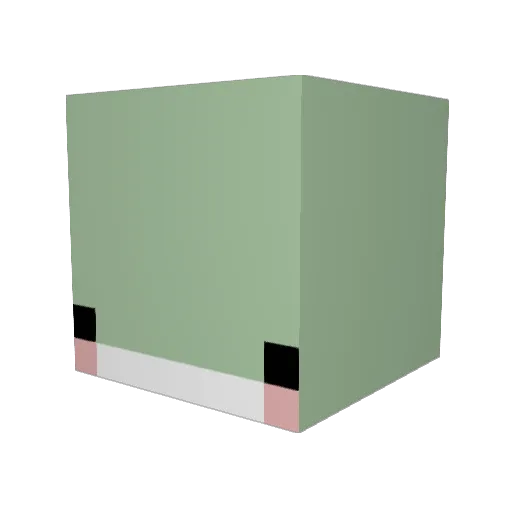 tomisnotcool Minecraft avatar head, 3D render