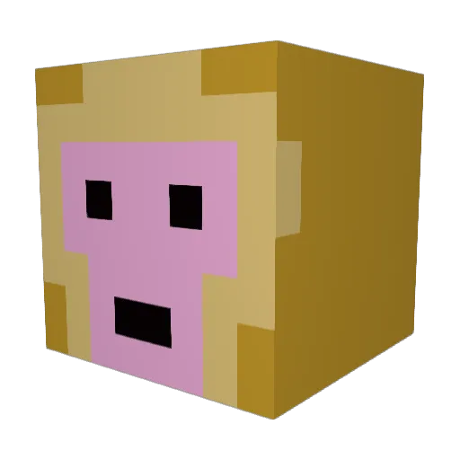 tomitocz Minecraft avatar head, 3D render